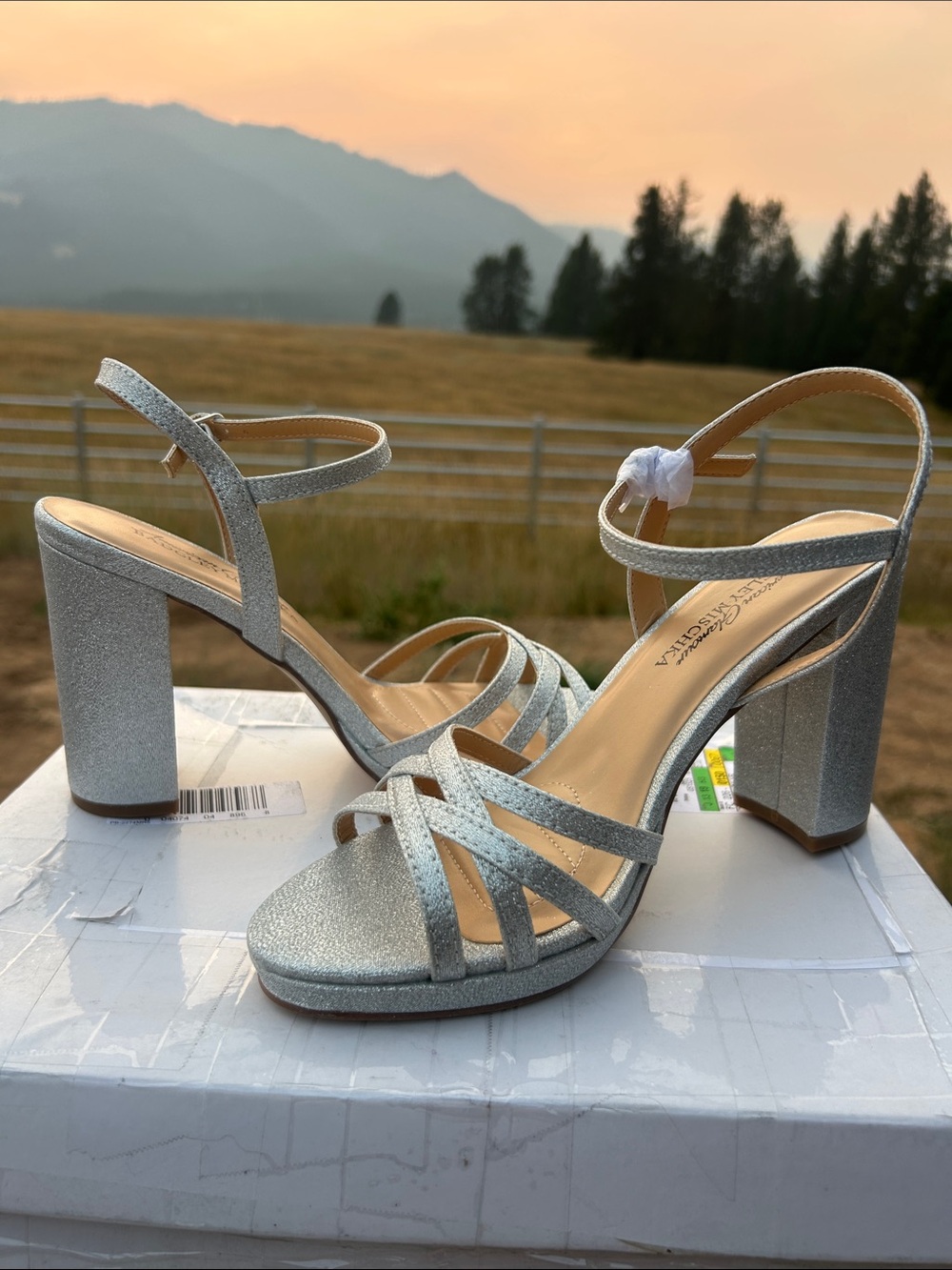 Badgley Mischka Kyleen Silver Glitter Block Heel Sandals